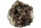 Dark Smoky Quartz Crystal Cluster - Brazil #84834-1